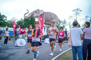 BIB: 
                            <button type="button" onclick="openModal(26551662)" class="btn btn-primary btn-sm float-right btn-popup" data-toggle="modal" data-target=".modal-high-quality">
                        <i class="fas fa-shopping-cart"></i> Add to Cart
                    </button>
                                            <button type="button" onclick="isThisMe(26551662, true)" class="btn btn-success btn-sm float-right btn-popup btn-isme hidden" data-toggle="tooltip" data-placement="bottom" title="นี่คือรูปของคุณใช่ไหม คลิกที่นี่เพื่อเอาเข้าอัลบั้ม">
                        <i class="fas fa-plus"></i> Add to album
                    </button>
                    <button type="button" onclick="isThisMe(26551662, false)" class="btn btn-warning btn-sm float-right btn-popup btn-isnotme hidden">
                        <i class="fas fa-ban"></i> Remove from album
                    </button>